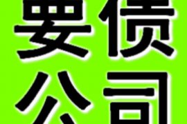 象山为什么选择专业追讨公司来处理您的债务纠纷？